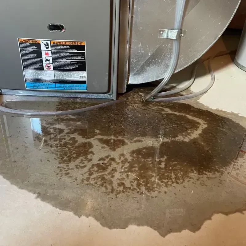 Appliance Leak Cleanup in Boston, NY